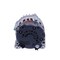 Wai Global Alternator, ALTVA IRIF 12V 180A S5 CW, 180 Amp12 Volt, CW, 5Groove Pulley 11424N - alternate 8